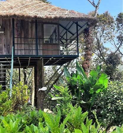 شقة Noah'S Nest Tree House تيكَدِيْ المظهر الخارجي الصورة