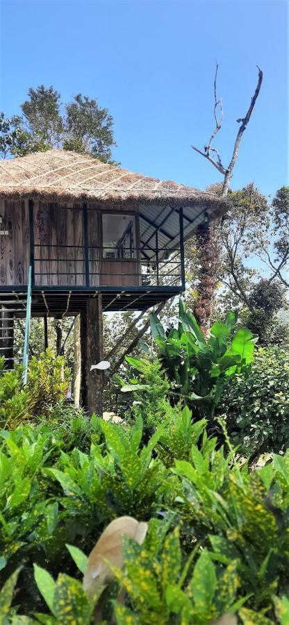 شقة Noah'S Nest Tree House تيكَدِيْ المظهر الخارجي الصورة