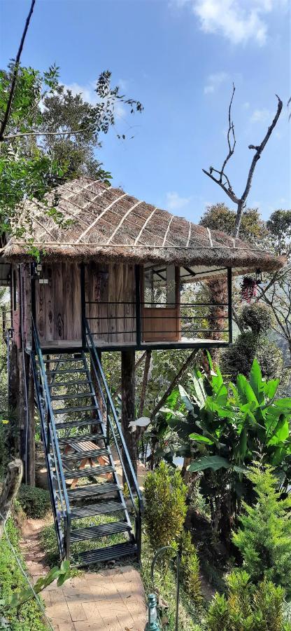 شقة Noah'S Nest Tree House تيكَدِيْ المظهر الخارجي الصورة