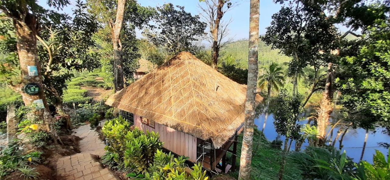 شقة Noah'S Nest Tree House تيكَدِيْ المظهر الخارجي الصورة