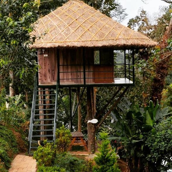 شقة Noah'S Nest Tree House تيكَدِيْ المظهر الخارجي الصورة