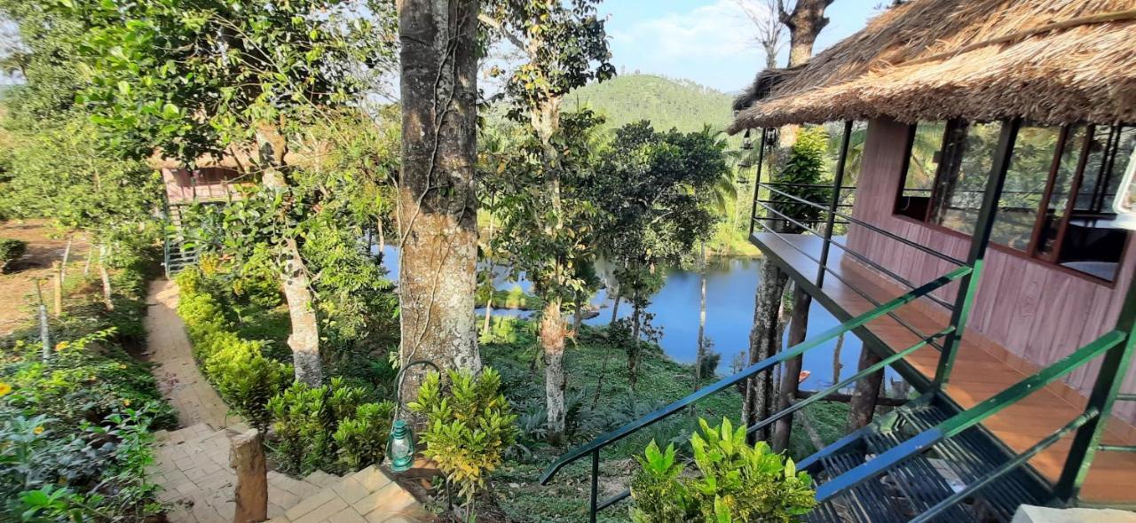 شقة Noah'S Nest Tree House تيكَدِيْ المظهر الخارجي الصورة