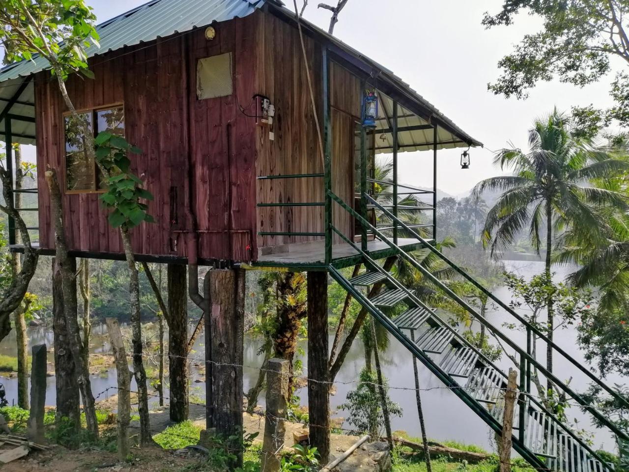 شقة Noah'S Nest Tree House تيكَدِيْ المظهر الخارجي الصورة