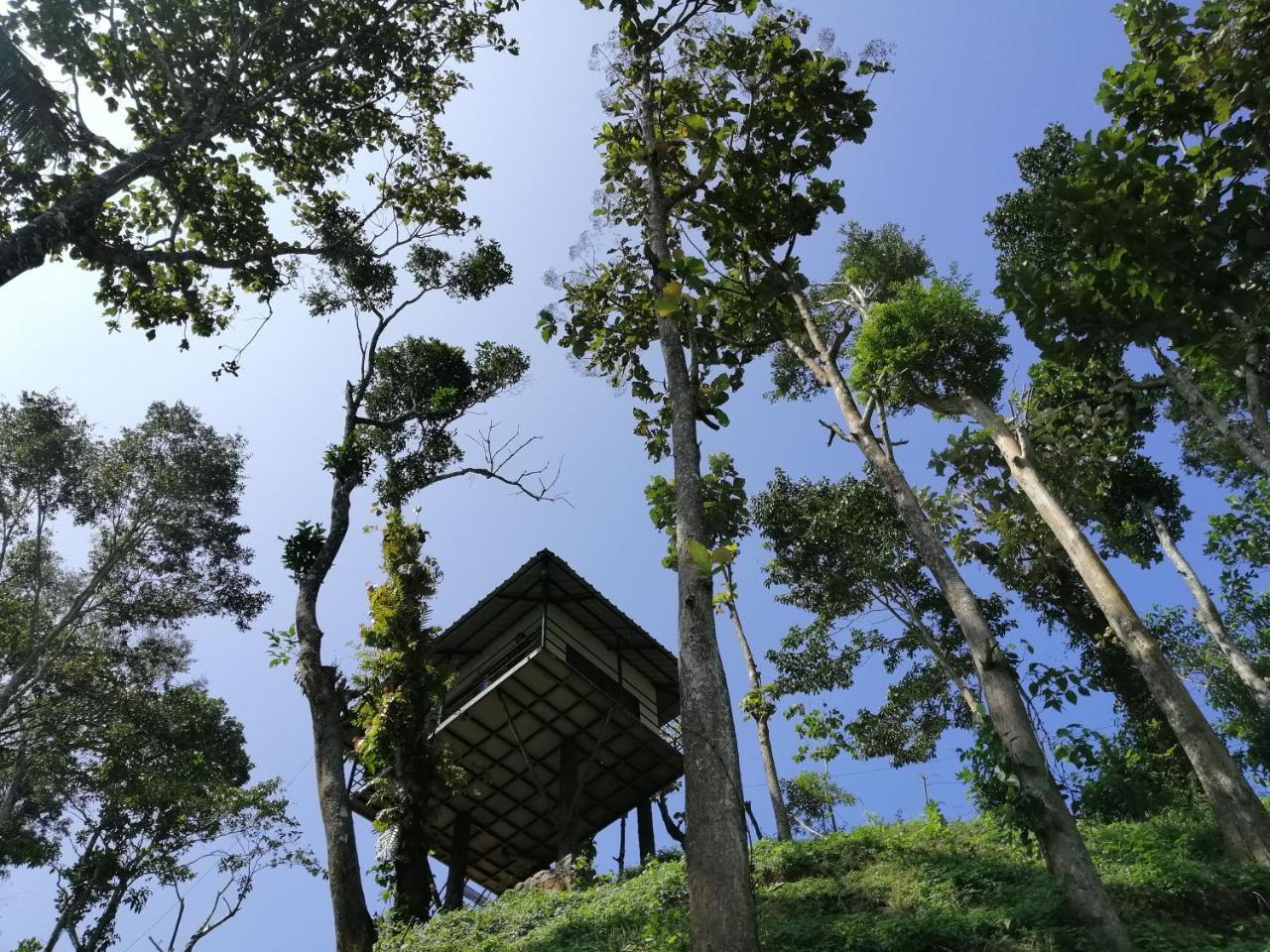 شقة Noah'S Nest Tree House تيكَدِيْ المظهر الخارجي الصورة