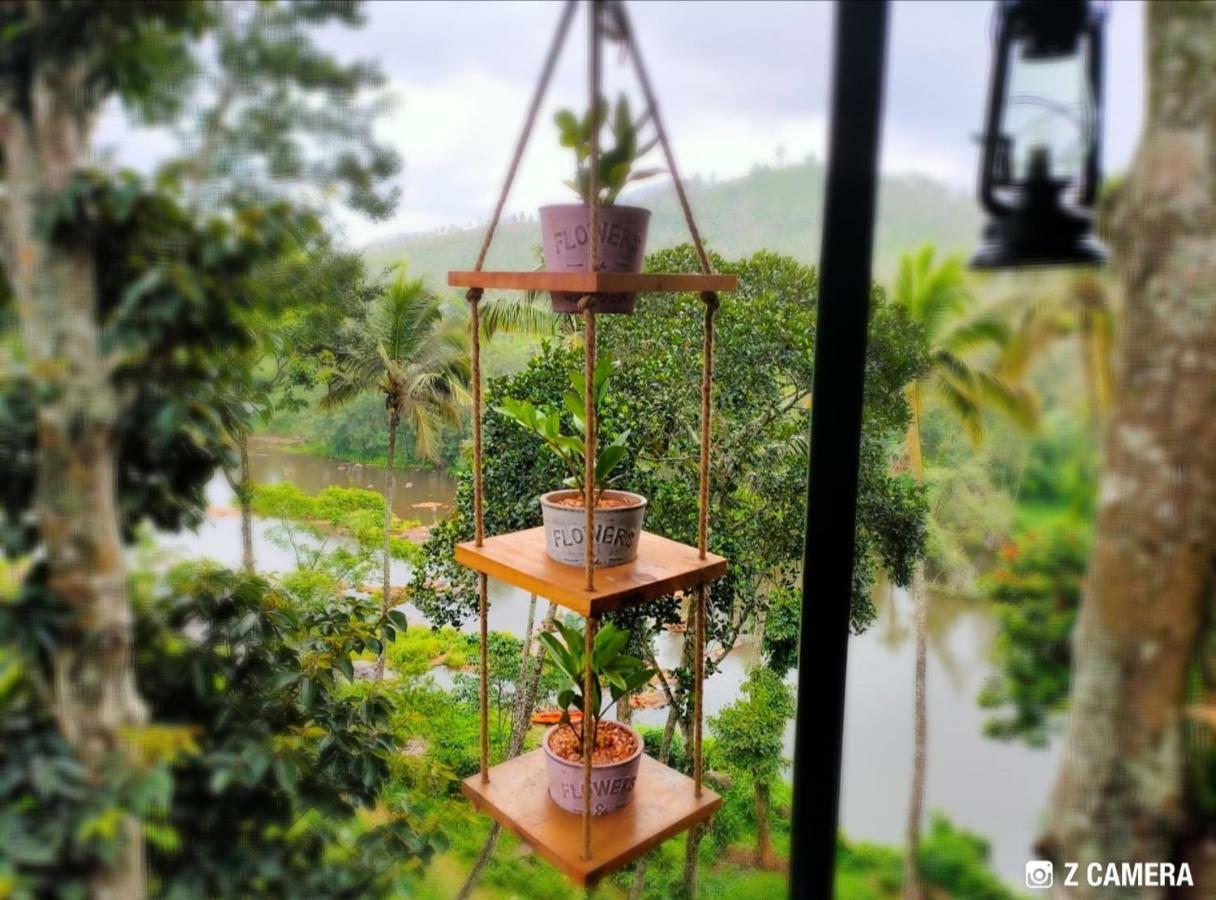 شقة Noah'S Nest Tree House تيكَدِيْ المظهر الخارجي الصورة