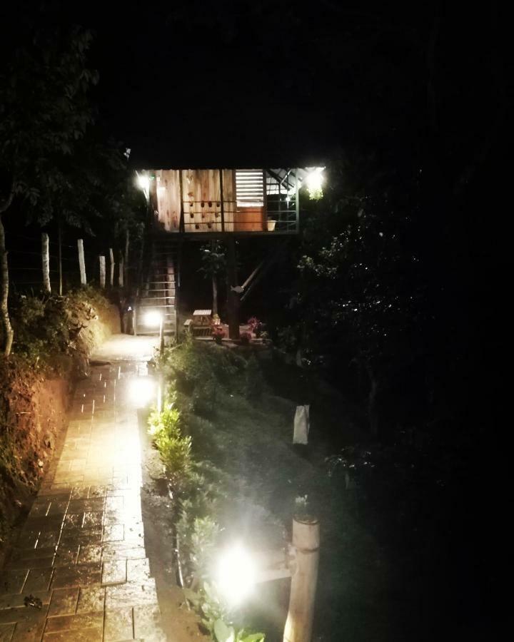 شقة Noah'S Nest Tree House تيكَدِيْ المظهر الخارجي الصورة