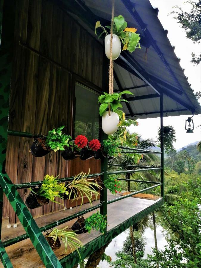 شقة Noah'S Nest Tree House تيكَدِيْ المظهر الخارجي الصورة