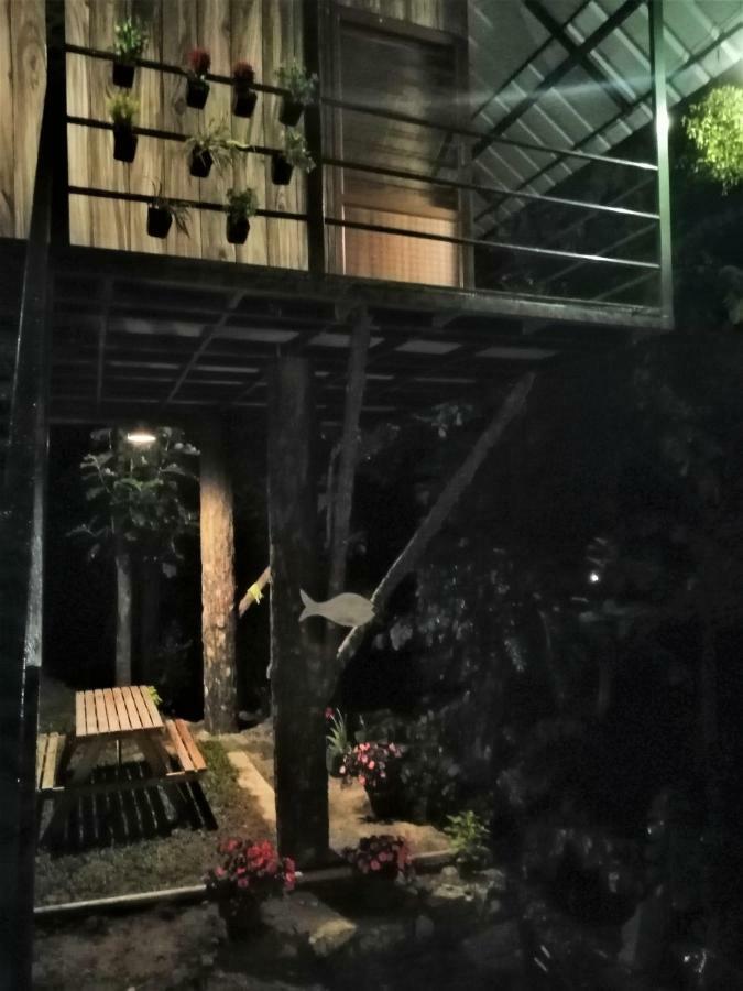 شقة Noah'S Nest Tree House تيكَدِيْ المظهر الخارجي الصورة